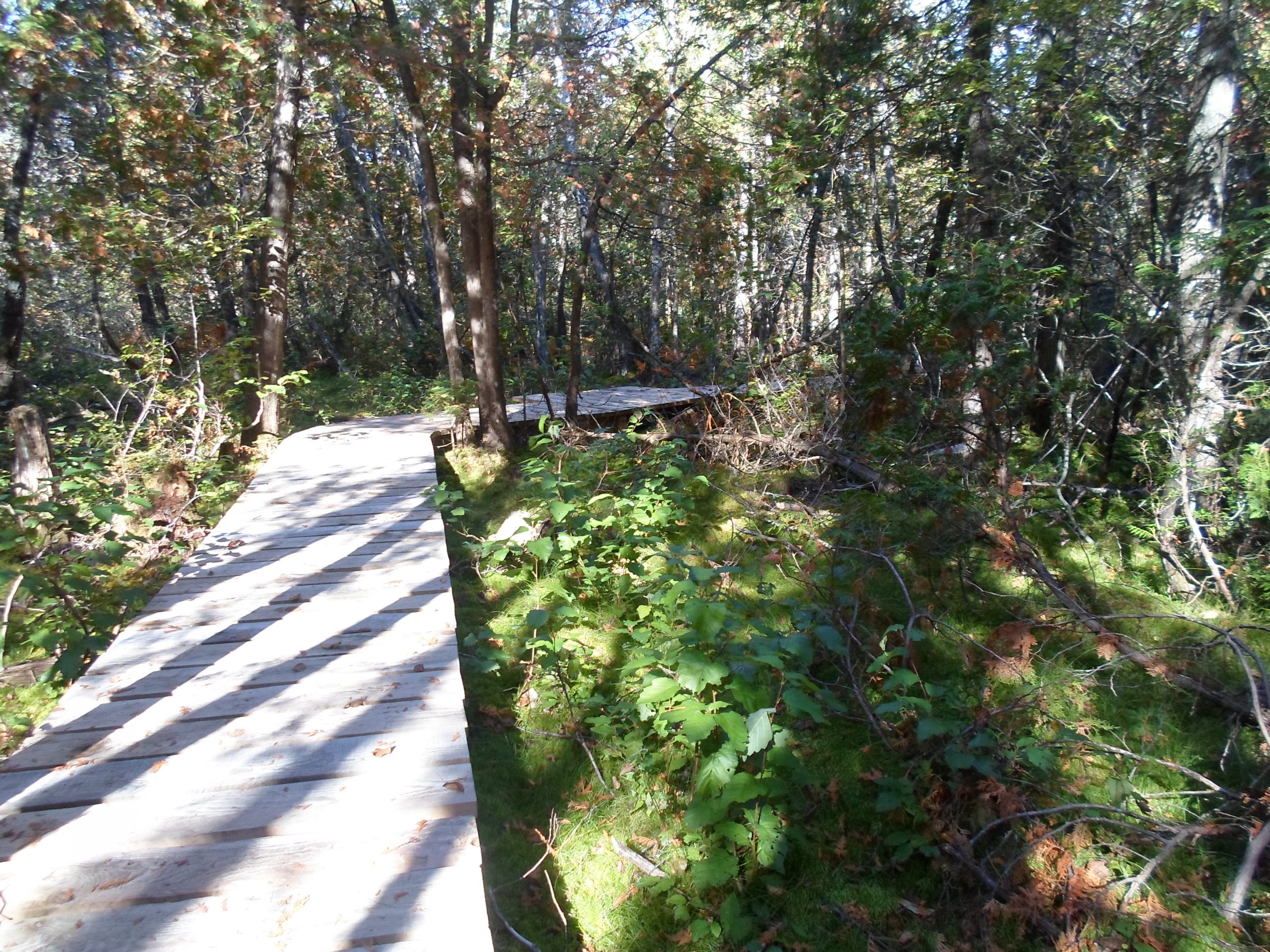 Accueil WentworthNord